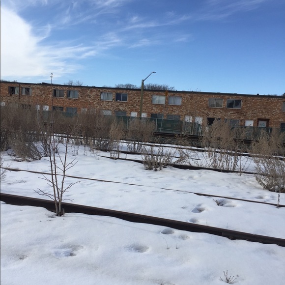 Meet your Posher, Tre - Picture 1 of 1